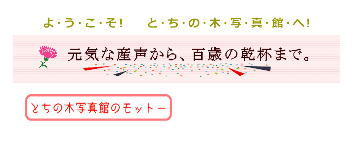 ようこそ！とちの木写真館へ！ 元気な産声から百歳の乾杯まで。