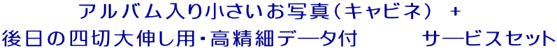 アルバム入り小さいお写真（キャビネ）　+　 後日の四切大伸し用・高精細データ付　　　　サービスセット