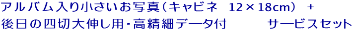 アルバム入り小さいお写真（キャビネ　12×18cm）　+　 後日の四切大伸し用・高精細データ付　　　　サービスセット