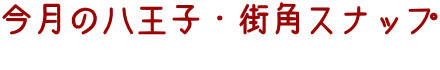 今月の八王子・街角スナップ 