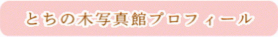 prof1.png