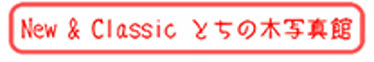 toptitle2-20.jpg