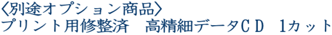 〈別途オプション商品〉 プリント用修整済　高精細データC D　1カット