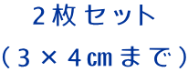 2枚セット （3×4㎝まで）